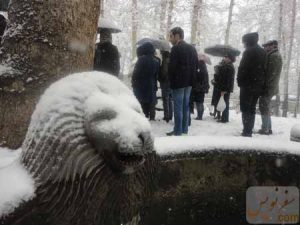 پشت درب بسته تماشاگه زمان در زیر برف