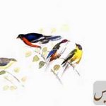به خیال پرواز، موزه صنعتی 13 آبان به خیال پرواز، موزه صنعتی 13 آبان