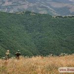 جنگل ارسباران